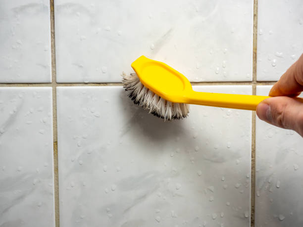 Clinton, WI Mold Remediation Company