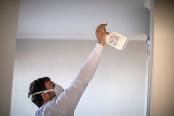  Clinton, WI Mold Removal Pros