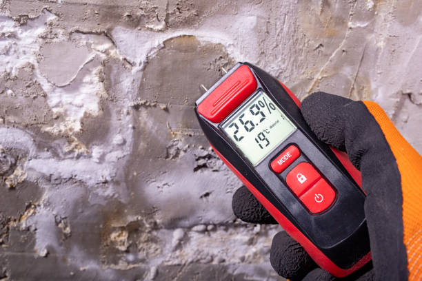 Best Mold Remediation for Specific Building Types in Clinton, WI